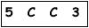 salt-510BEC5C
