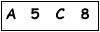 salt-9E33F89C