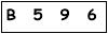 salt-96A49160