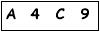 salt-808A4023