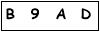salt-104ECA7C